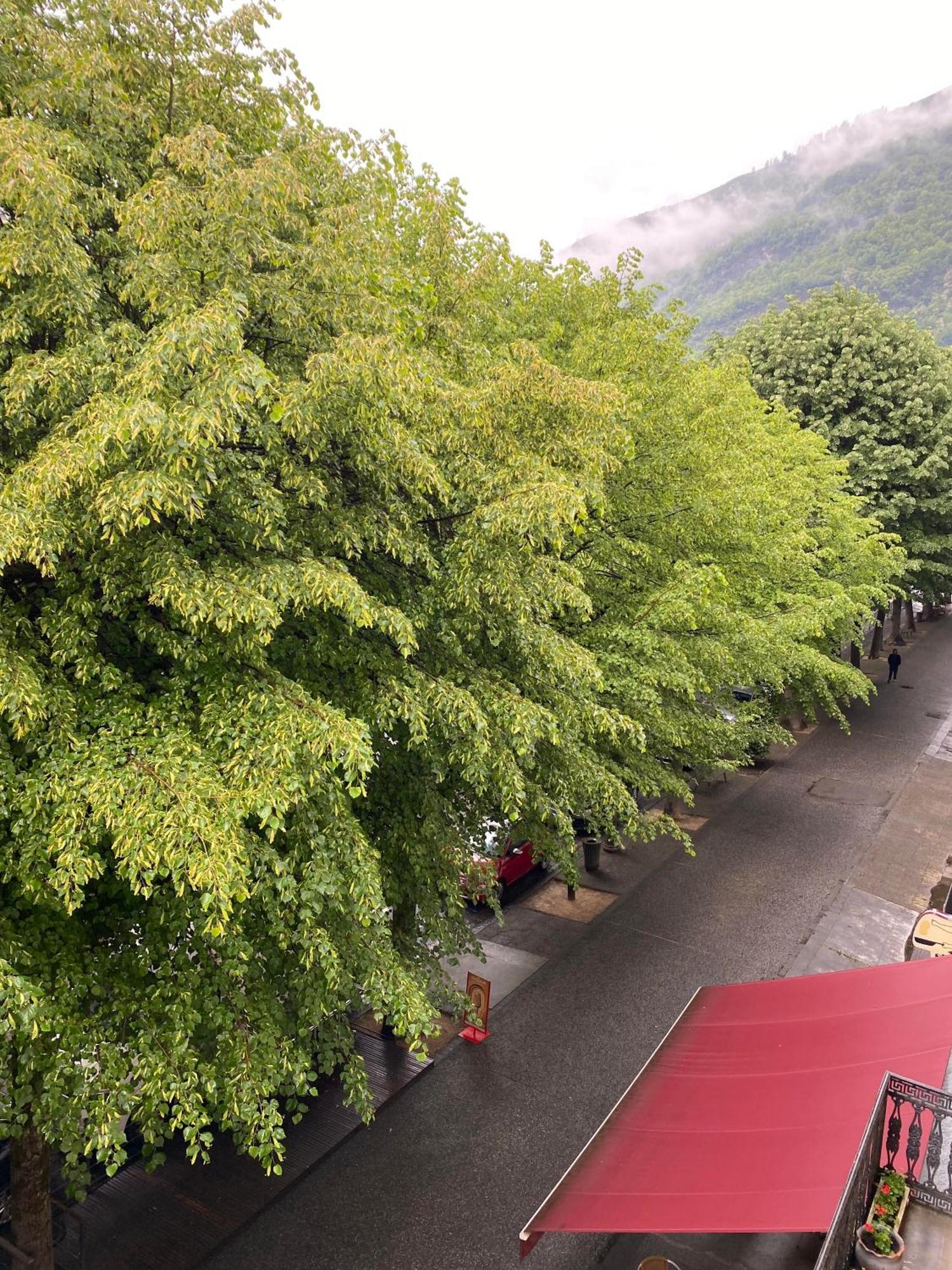 Au 47 Allees D'Etigny - Central & Standing - Avec Parking - Linge De Lit Et De Toilette Inclus Bagnères-de-Luchon Exterior foto